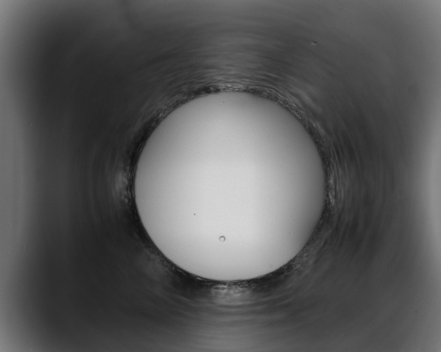 X0000088640714200705250919