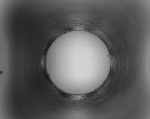 X0000088640717200705250919