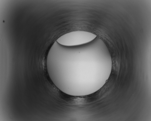 X0000088640718200705250919