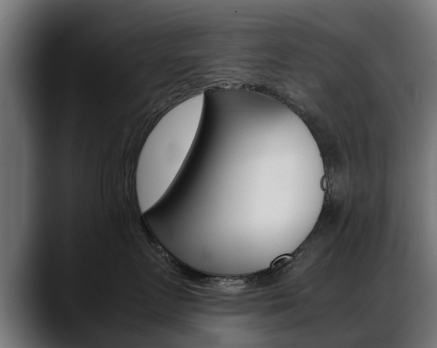 X0000088640719200705250919