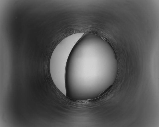 X0000088640720200705250919
