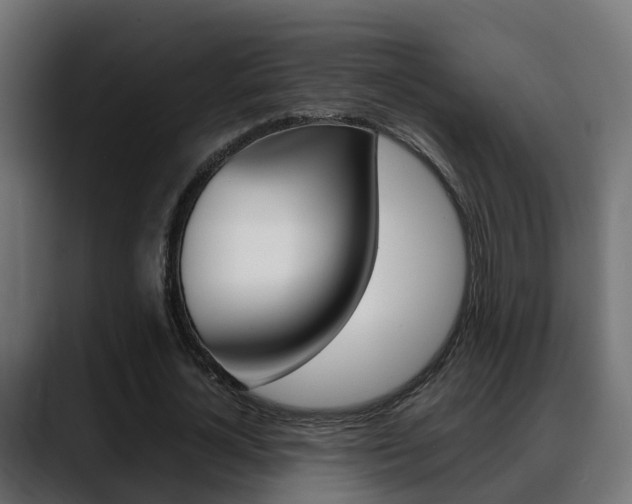 X0000088640724200705250918