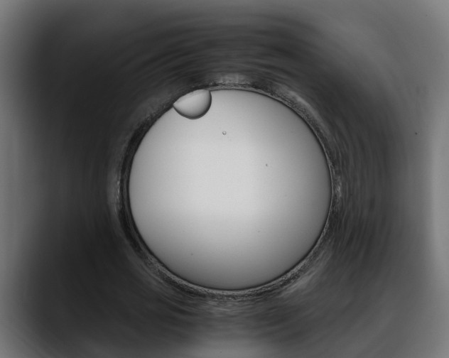 X0000088640725200705250918