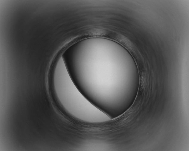 X0000088640726200705250918