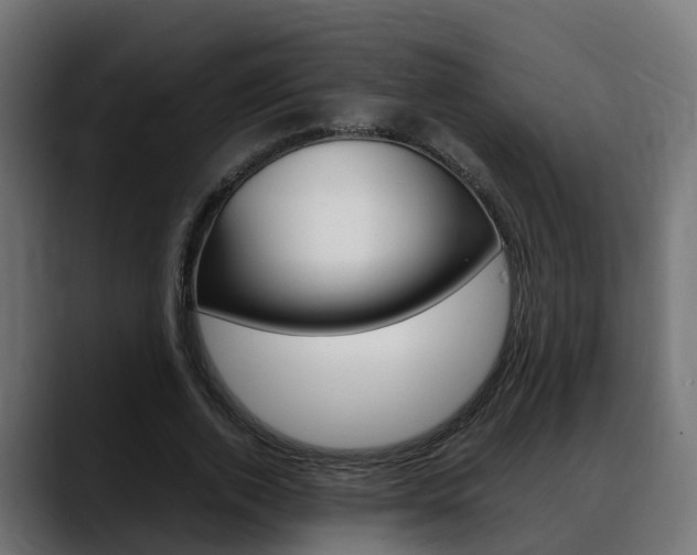X0000088640728200705250918
