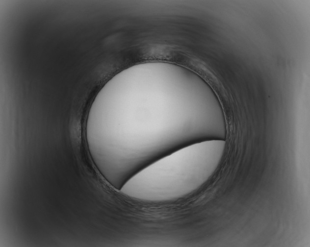 X0000088640729200705250918
