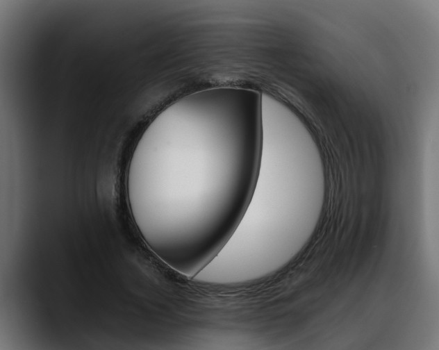 X0000088640732200705250918