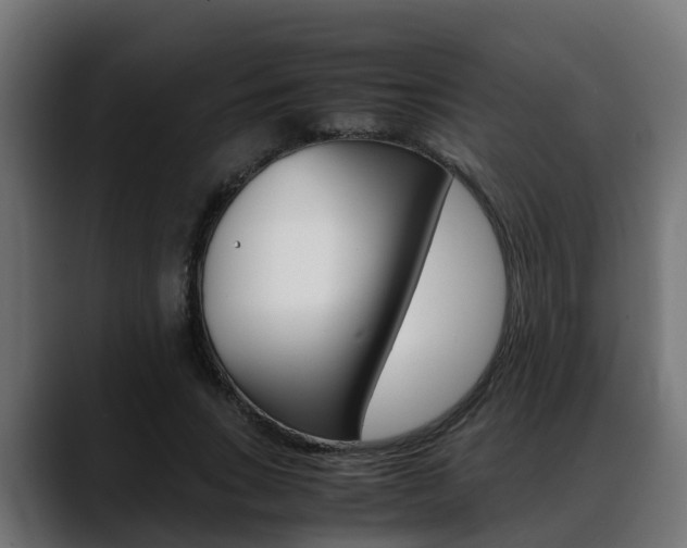 X0000088640735200705250918
