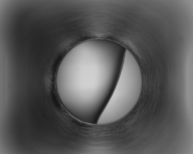 X0000088640736200705250918