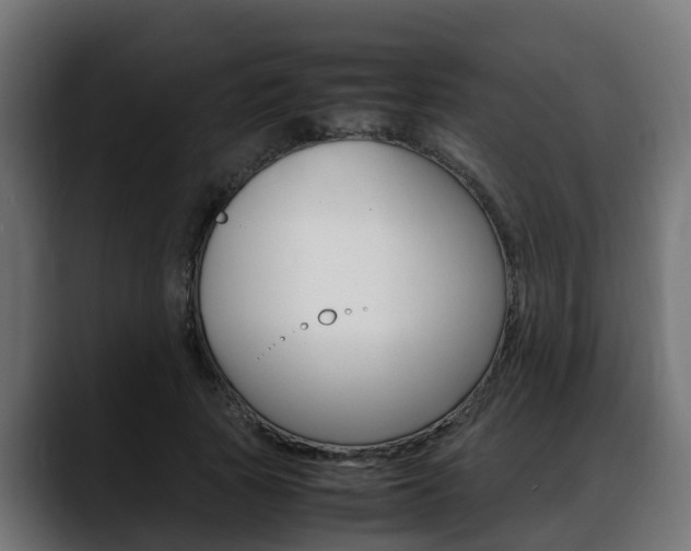 X0000088640737200705250918