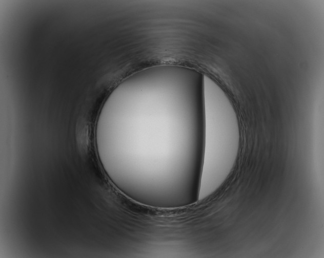 X0000088640740200705250918