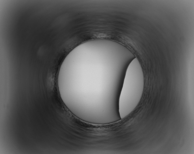 X0000088640741200705250918