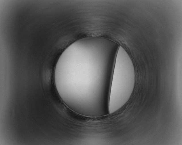 X0000088640742200705250918