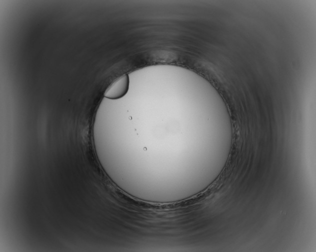 X0000088640745200705250918