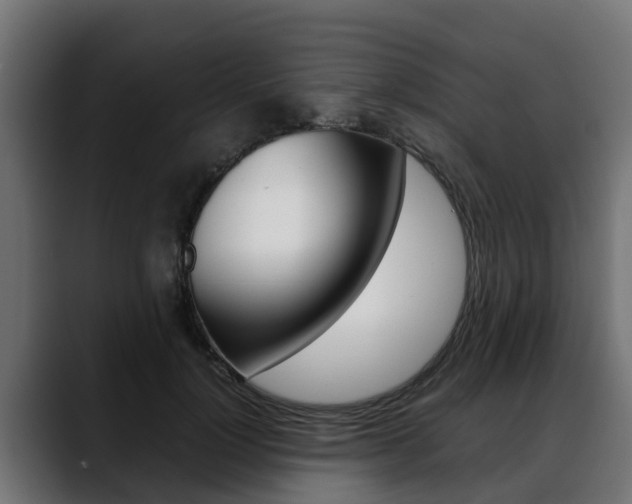 X0000088640748200705250918