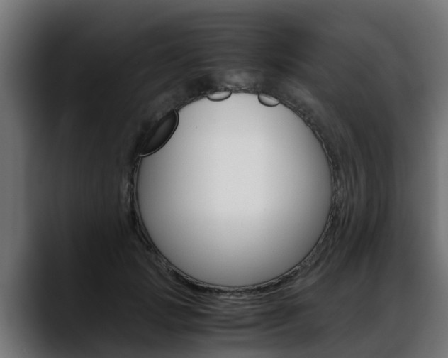 X0000088640749200705250918