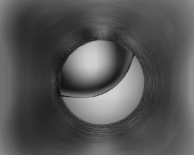 X0000088640750200705250918