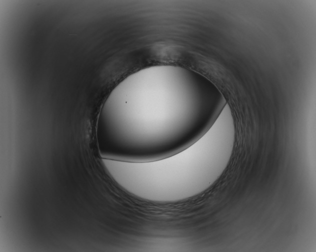 X0000088640752200705250918