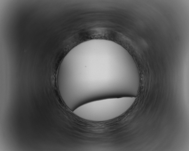 X0000088640753200705250918