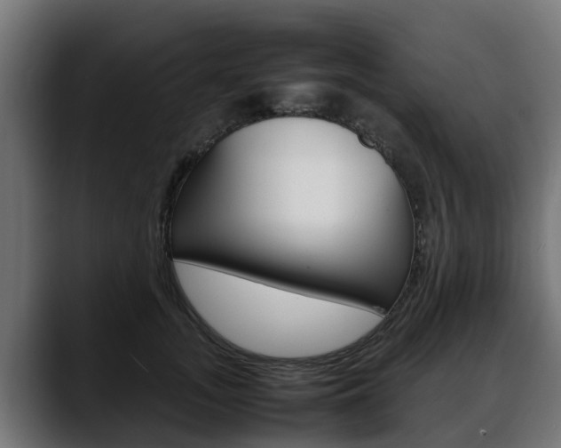 X0000088640755200705250918