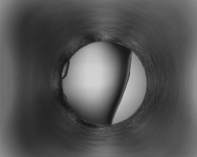 X0000088640760200705250918