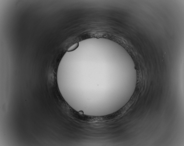 X0000088640761200705250918