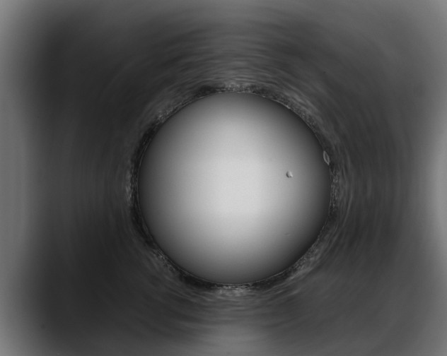 X0000088640762200705250918