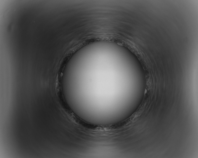 X0000088640764200705250918