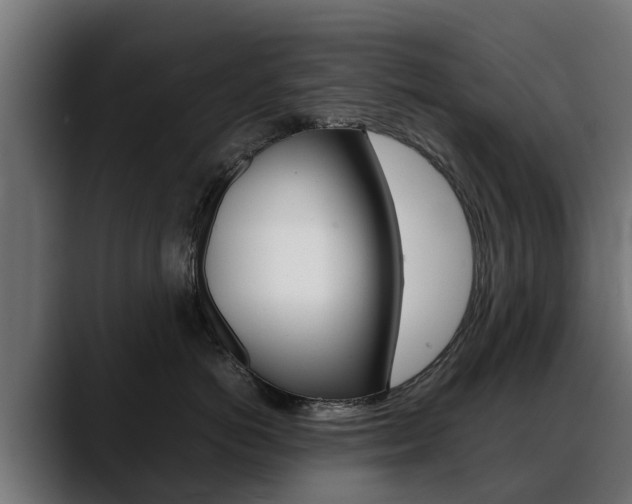 X0000088640766200705250919