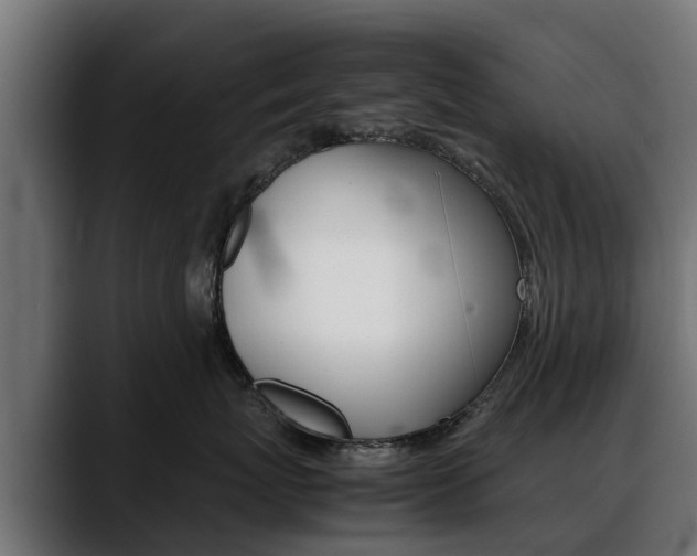 X0000088640767200705250919