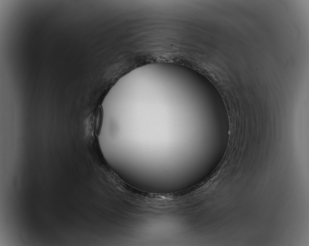 X0000088640768200705250919