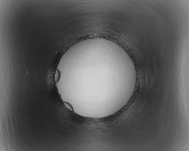 X0000088640770200705250918
