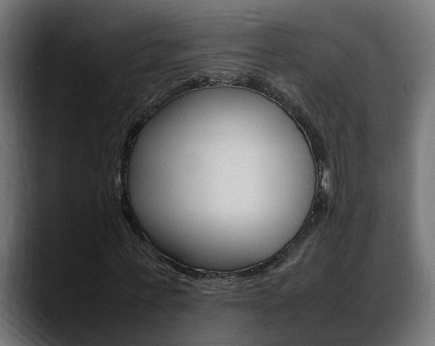 X0000088640771200705250918