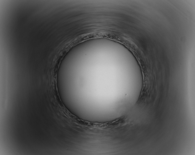 X0000088640773200705250918