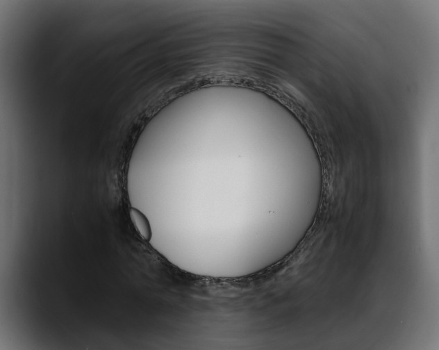 X0000088640774200705250918