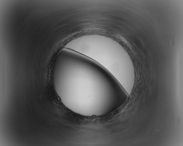 X0000088640775200705250918