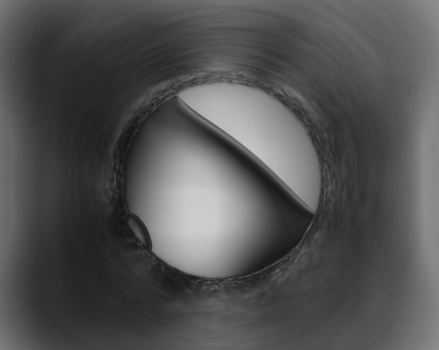 X0000088640776200705250918