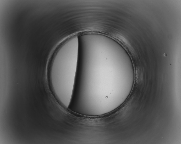 X0000088640780200705250918