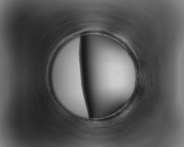 X0000088640783200705250918