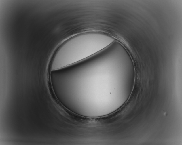 X0000088640787200705250918
