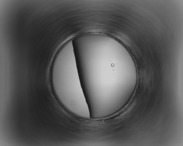 X0000088640790200705250918