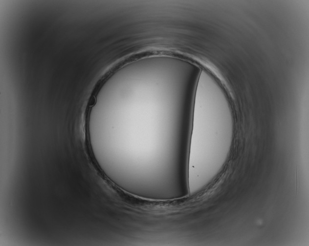 X0000088640791200705250918