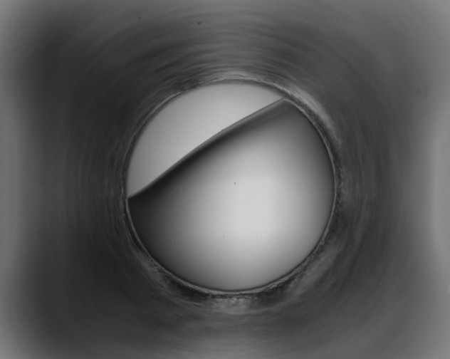 X0000088640793200705250918