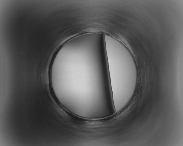 X0000088640795200705250918