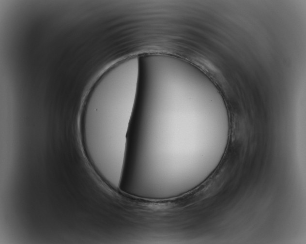 X0000088640796200705250918