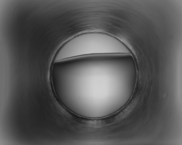 X0000088640797200705250918