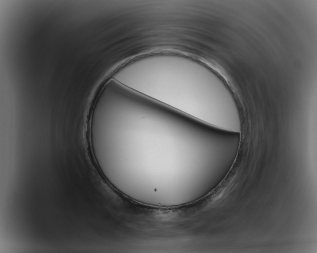 X0000088640799200705250918