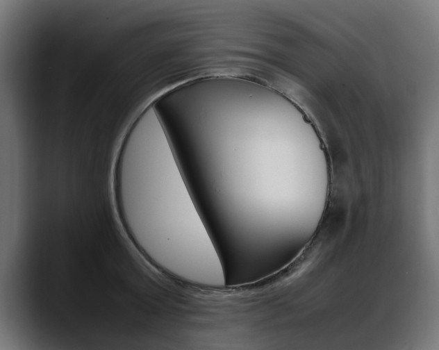 X0000088640803200705250917