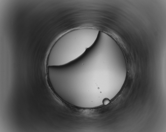 X0000088640808200705250917