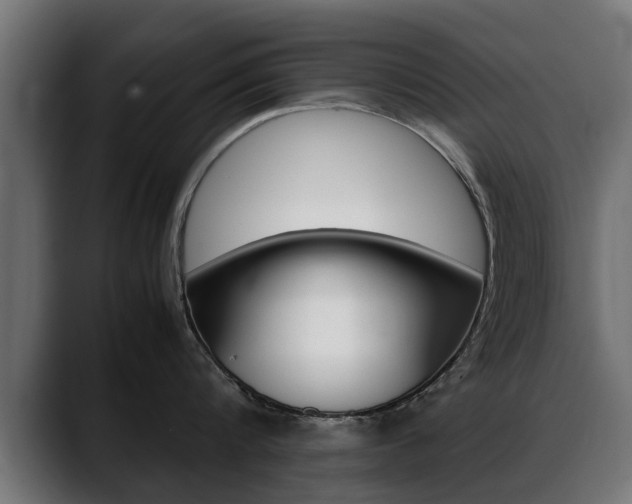 X0000088640816200705250917
